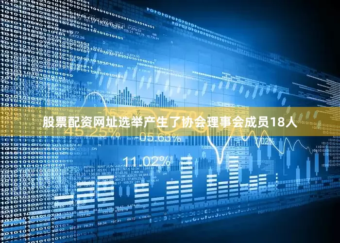 股票配资网址选举产生了协会理事会成员18人