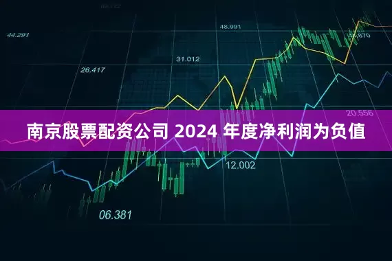 南京股票配资公司 2024 年度净利润为负值