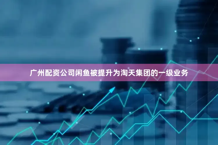 广州配资公司闲鱼被提升为淘天集团的一级业务