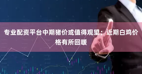 专业配资平台中期猪价或值得观望；近期白鸡价格有所回暖